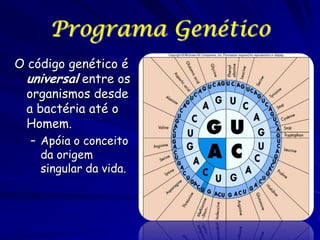 Programa Genético
O código genético é
universal entre os
organismos desde
a bactéria até o
Homem.
– Apóia o conceito
da origem
singular da vida.

 