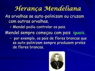 Herança Mendeliana
As orvalhas se auto-polinizam ou cruzam
com outras orvalhas.
– Mendel podia controlar os pais.

Mendel sempre começou com pais iguais.
– por exemplo, os pais de flores brancas que
se auto-polinizam sempre produzem proles
de flores brancas.

 