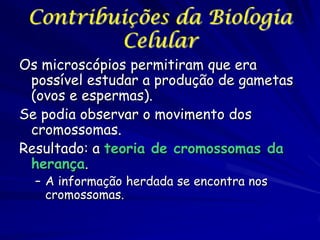 Contribuições da Biologia
Celular
Os microscópios permitiram que era
possível estudar a produção de gametas
(ovos e espermas).
Se podia observar o movimento dos
cromossomas.
Resultado: a teoria de cromossomas da
herança.
– A informação herdada se encontra nos
cromossomas.

 