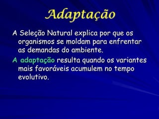 Adaptação
A Seleção Natural explica por que os
organismos se moldam para enfrentar
as demandas do ambiente.
A adaptação resulta quando os variantes
mais favoráveis acumulem no tempo
evolutivo.

 