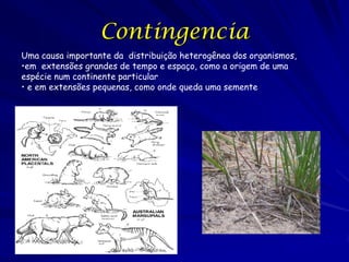 Contingencia
Uma causa importante da distribuição heterogênea dos organismos,
•em extensões grandes de tempo e espaço, como a origem de uma
espécie num continente particular
• e em extensões pequenas, como onde queda uma semente

 