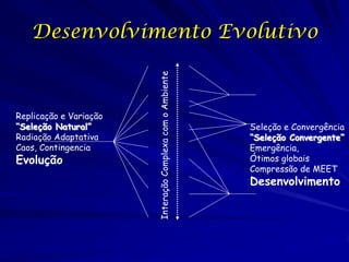Replicação e Variação
“Seleção Natural”
Radiação Adaptativa
Caos, Contingencia

Evolução

Interação Complexa com o Ambiente

Desenvolvimento Evolutivo

Seleção e Convergência
“Seleção Convergente”
Emergência,
Ótimos globais
Compressão de MEET

Desenvolvimento

 