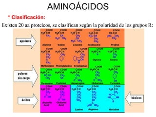 AMINOÁCIDOS * Clasificación: Existen 20 aa proteicos, se clasifican según la polaridad de los grupos R: 
