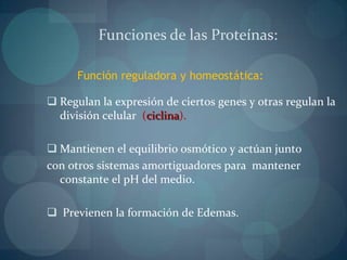 Formadas por 100 a miles de aminoácidosAminoácidos -> Polipéptidos -> Proteína