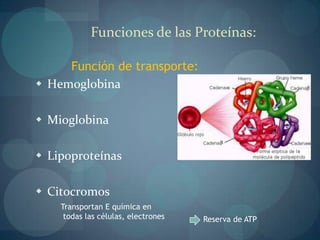 Representan el 18% del PC