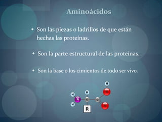 El sistema inmunológico se compone esencialmente de proteína.