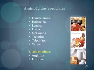La estimación más utilizada de la cantidad de proteínas que requieren casi todos los individuos es de 0.8 gr de proteína / kg peso corporalFunciones de las Proteínas:Función construcción y reparación de tejidos: Provisión del tipo y número correcto de aminoácidos en la dieta