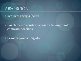 Mantienen el equilibrio osmótico y actúan junto con otros sistemas amortiguadores para  mantener constante el pH del medio. Previenen la formación de Edemas.Funciones de las Proteínas:Función defensiva: Las inmunoglobulinas 
