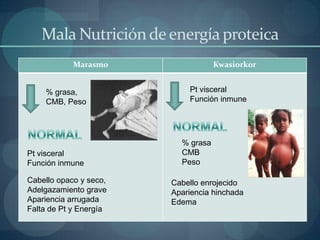 Funciones de las Proteínas:Función contráctil y de reserva: Actina y miosina (contracción muscular).
