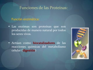 Compuestas por C H O N y en ocasiones S