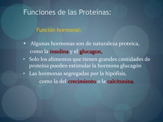 Sintetizadas a partir de sustancias inorgánicas (sólo las plantas lo hacen)