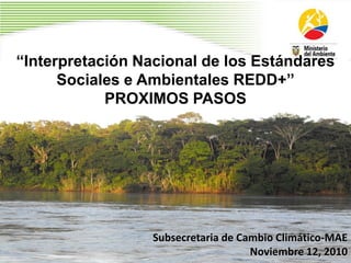 “Interpretación Nacional de los Estándares
Sociales e Ambientales REDD+”
PROXIMOS PASOS
Subsecretaria de Cambio Climático-MAE
Noviembre 12, 2010
 