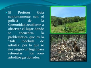  El    Profesor    Guía
 conjuntamente con el
 policía       de        la
 Comunidad acudieron a
 observar el lugar donde
 se      encuentra      la
 problemática que es la
 “Tala     indebida     de
 arboles”, por lo que se
 nos asigno un lugar para
 reforestar     los 1000
 arbolitos gestionados.
 
