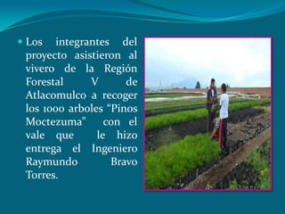  Los integrantes del
  proyecto asistieron al
  vivero de la Región
  Forestal     V       de
  Atlacomulco a recoger
  los 1000 arboles “Pinos
  Moctezuma”       con el
  vale que       le hizo
  entrega el Ingeniero
  Raymundo          Bravo
  Torres.
 