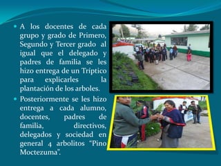  A los docentes de cada
  grupo y grado de Primero,
  Segundo y Tercer grado al
  igual que el delegado y
  padres de familia se les
  hizo entrega de un Tríptico
  para     explicarles       la
  plantación de los arboles.
 Posteriormente se les hizo
  entrega a cada alumno,
  docentes,      padres     de
  familia,          directivos,
  delegados y sociedad en
  general 4 arbolitos “Pino
  Moctezuma”.
 