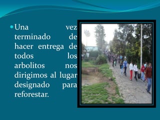  Una           vez
 terminado        de
 hacer entrega de
 todos           los
 arbolitos      nos
 dirigimos al lugar
 designado     para
 reforestar.
 