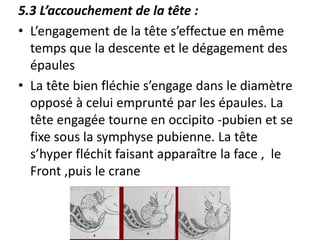 5.3 L’accouchement de la tête :
• L’engagement de la tête s’effectue en même
temps que la descente et le dégagement des
épaules
• La tête bien fléchie s’engage dans le diamètre
opposé à celui emprunté par les épaules. La
tête engagée tourne en occipito -pubien et se
fixe sous la symphyse pubienne. La tête
s’hyper fléchit faisant apparaître la face , le
Front ,puis le crane
 