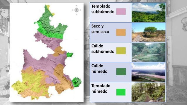 Estado de Puebla
