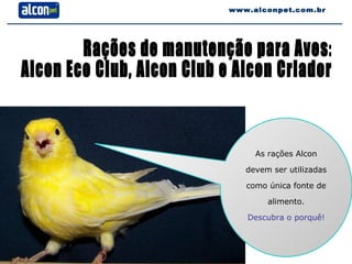 Rações de manutenção para Aves:  Alcon Eco Club, Alcon Club e Alcon Criador www.alconpet.com.br As rações Alcon devem ser utilizadas como única fonte de alimento. Descubra o porquê! 