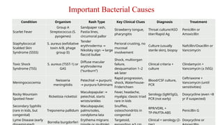 5-Rash-Like Illnesses in Children – Focus on Infectious Causes-1.pptx
