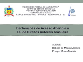 Autores:
Rebeca de Moura Andrade
Enrique Muriel-Torrado
UNIVERSIDADE FEDERAL DE SANTA CATARINA
CENTRO DE CIÊNCIAS BIOLÓGICAS
PROGRAMA DE PÓS-GRADUAÇÃO EM
CIÊNCIA DA INFORMAÇÃO
CAMPUS UNIVERSITÁRIO – TRINDADE -- FLORIANÓPOLIS – SC
Declarações de Acesso Aberto e a
Lei de Direitos Autorais brasileira
 