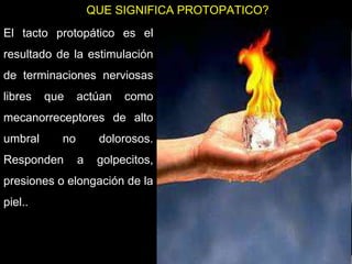 QUE SIGNIFICA PROTOPATICO?
PROTOPATICO :
Es la sensación de dolor,
tacto áspero, discriminación
burda, comezón, cosquilleos
sensaciones sexuales y
temperatura,.
05/08/2014 Dr. Omar Diaz Tablas 17
El tacto protopático es el
resultado de la estimulación
de terminaciones nerviosas
libres que actúan como
mecanorreceptores de alto
umbral no dolorosos.
Responden a golpecitos,
presiones o elongación de la
piel..
 