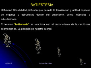 05/08/2014 Dr. Omar Diaz Tablas 25
BATIESTESIA
Definición Sensibilidad profunda que permite la localización y actitud espacial
de órganos y estructuras dentro del organismo, como músculos o
articulaciones.
El término "batiestesia" se relaciona con el conocimiento de las actitudes
segmentarías. Ej. posición de nuestro cuerpo
 