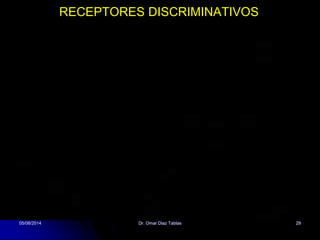 RECEPTORES DISCRIMINATIVOS
05/08/2014 Dr. Omar Diaz Tablas 29
 