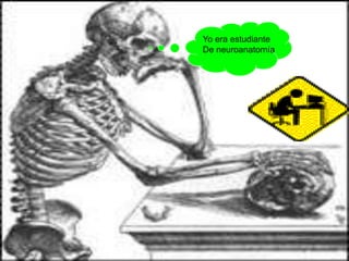 05/08/2014 Dr. Omar Diaz Tablas 55
Yo era estudiante
De neuroanatomía
 