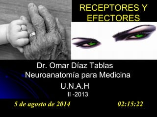 05/08/2014 Dr. Omar Diaz Tablas 1
RECEPTORES Y
EFECTORES
Dr. Omar Díaz Tablas
Neuroanatomía para Medicina
U.N.A.H
II -2013
5 de agosto de 2014 02:15:22
 
