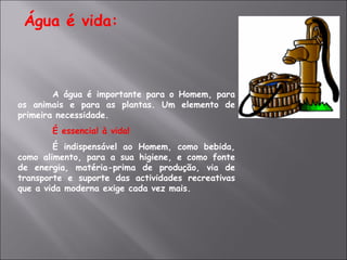 Água é vida: A água é importante para o Homem, para os animais e para as plantas. Um elemento de primeira necessidade. É essencial à vida!  É indispensável ao Homem, como bebida, como alimento, para a sua higiene, e como fonte de energia, matéria-prima de produção, via de transporte e suporte das actividades recreativas que a vida moderna exige cada vez mais. 