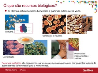 Vestuário. Construç ão e industria. Alimentaç ão. Produção de medicamentos e vacinas. Planeta Terra — 8.º ano O que s ão recursos biológicos? Recursos biológicos   são organismos, partes destes ou quaisquer outros componentes bióticos de ecossistemas com utilidade para a Humanidade. O Homem retira inúmeros benefícios a partir de outros seres vivos. 