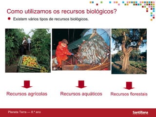 Como utilizamos os recursos biológicos? Planeta Terra — 8.º ano Existem vários tipos de recursos biológicos. Recursos agr ícolas Recursos aqu áticos Recursos florestais 
