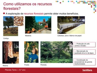 Como utilizamos os recursos florestais? Cortiça. Madeira. Resina. Frutos. Celulose, para o fabrico de papel. —   Protecção do solo contra a erosão. —  Manutenção da qualidade do ar e da água. —  Constituição de ecossistemas de grande biodiversidade. Planeta Terra — 8.º ano Floresta. A exploração de  recursos florestais  permite obter muitos benefícios. 