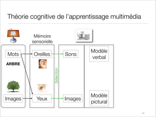 Théorie cognitive de l’apprentissage multimédia

          Mémoire
         sensorielle

                                 ...