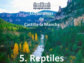 Ecosistemas
de
Castilla-la Mancha
5. Reptiles
 