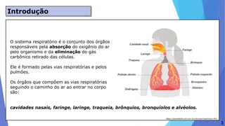 Aula do ensino médio: Respiração - 3 ano.pptx