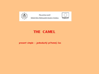 THE  CAMEL present simple - jednoduchý prítomný čas 