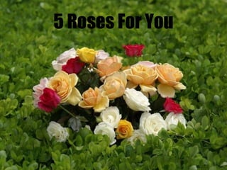 5 Roses For You 