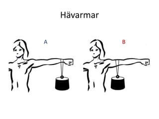 HävarmarA B