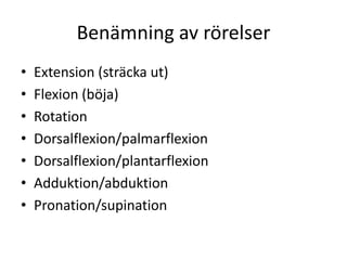 Benämning av rörelserExtension (sträcka ut)Flexion (böja)RotationDorsalflexion/palmarflexionDorsalflexion/plantarflexionAdduktion/abduktionPronation/supination