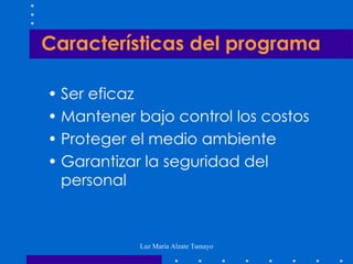Características del programa Ser eficaz Mantener bajo control los costos Proteger el medio ambiente Garantizar la seguridad del personal 