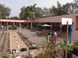 5 s Bhilai