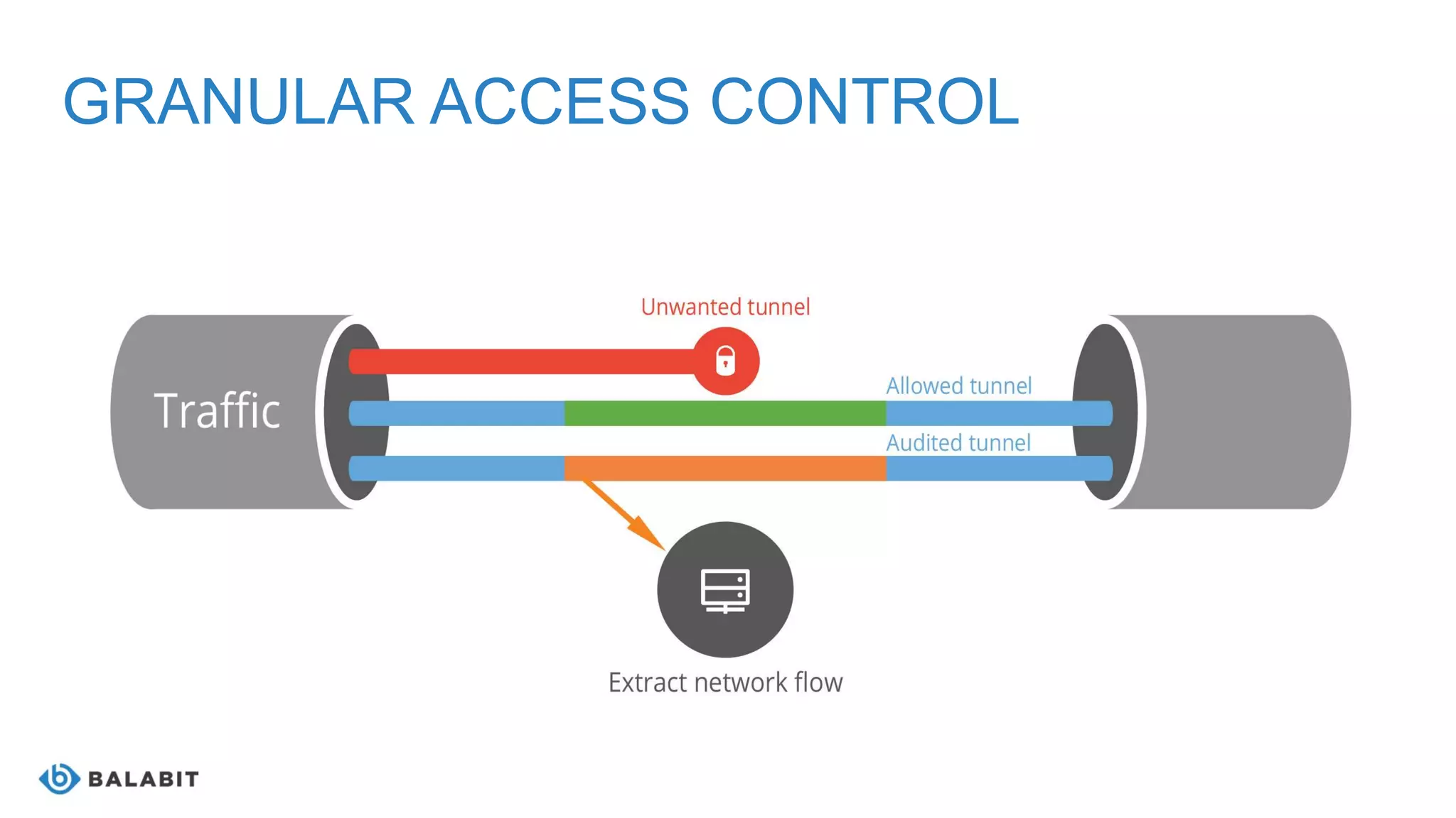 GRANULAR ACCESS CONTROL
 