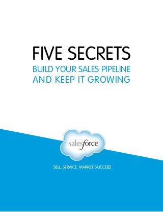 SELL. SERVICE. MARKET. SUCCEED
FIVE SECRETS
BUILD YOUR SALES PIPELINE
AND KEEP IT GROWING
 