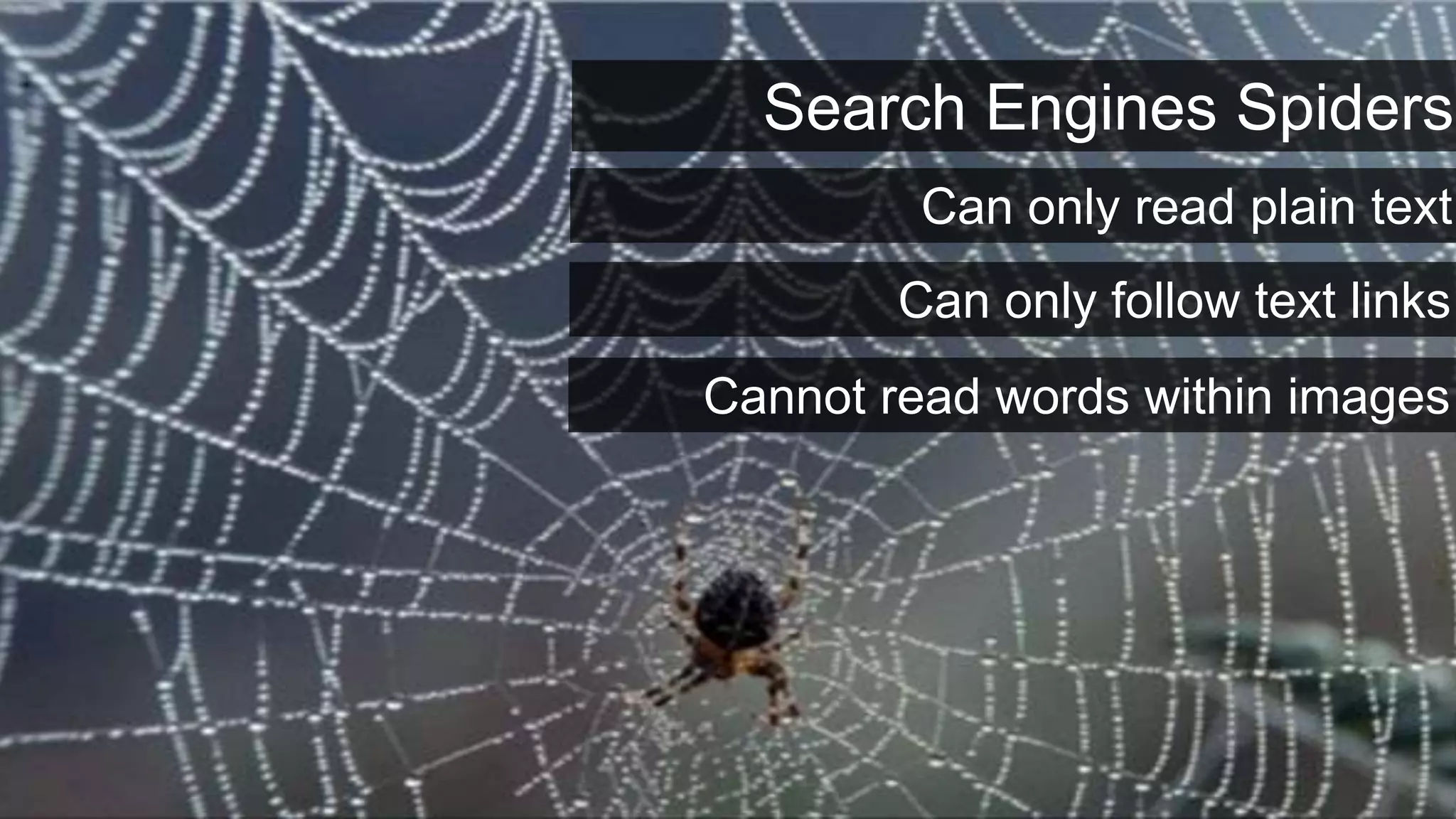 Crawl-ability
                  Search Engines Spiders
                         Can only read plain text
                        Can only follow text links
                Cannot read words within images
 