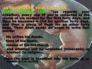 Allah's Apostle said; "(as regards your
creation), every one of you is collected in the
womb of his mother for the first forty days, and
then he becomes a clot for another forty days,
and then a piece of flesh for an other forty
days. Then Allah sends an angel to write four
words:
* He writes his deeds,
* time of his death,
* means of his livelihood,
* and whether will be wretched (miserable) or
blessed (in religion).
Then the soul is breathed into his body. [S. Al-
Bukhari V. 4 H. no.549]
 