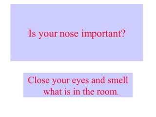 Is your nose important? Close your eyes and smell what is in the room . 