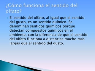  El sentido del olfato, al igual que el sentido
del gusto, es un sentido químico. Se
denominan sentidos químicos porque
detectan compuestos químicos en el
ambiente, con la diferencia de que el sentido
del olfato funciona a distancias mucho más
largas que el sentido del gusto.
 