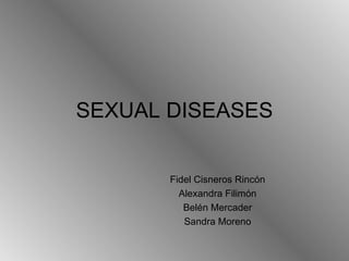SEXUAL DISEASES Fidel Cisneros Rincón Alexandra Filimón Belén Mercader Sandra Moreno 